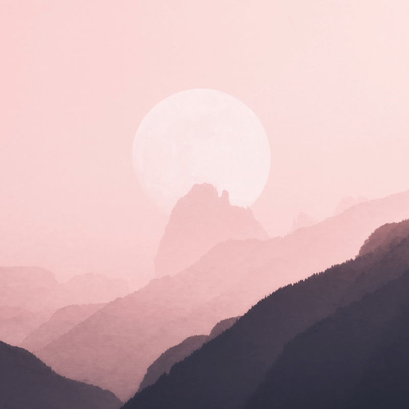 市場大客戶經(jīng)理（工作地點：北京、南京、東北、湖南）